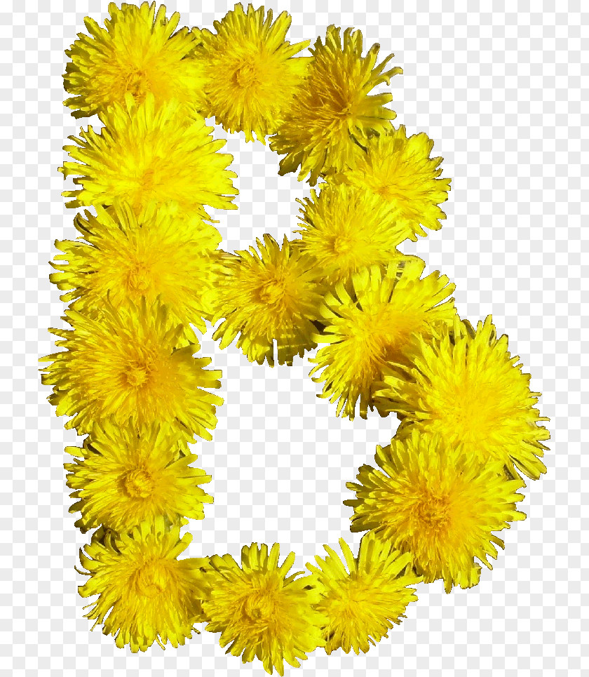 Blumen Cut Flowers Blume PNG