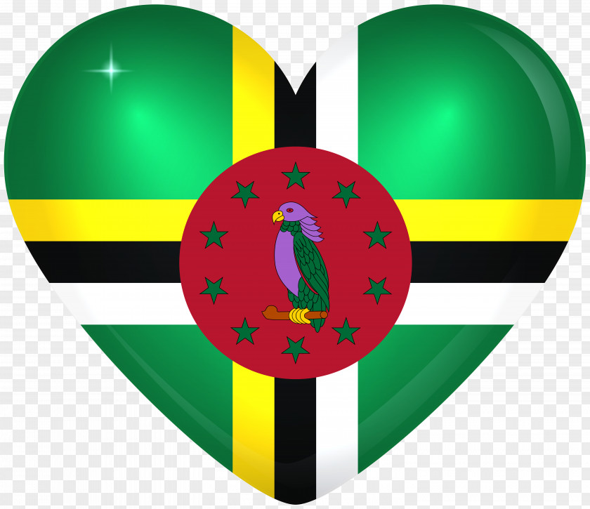 Flag Of Dominica National T-shirt PNG