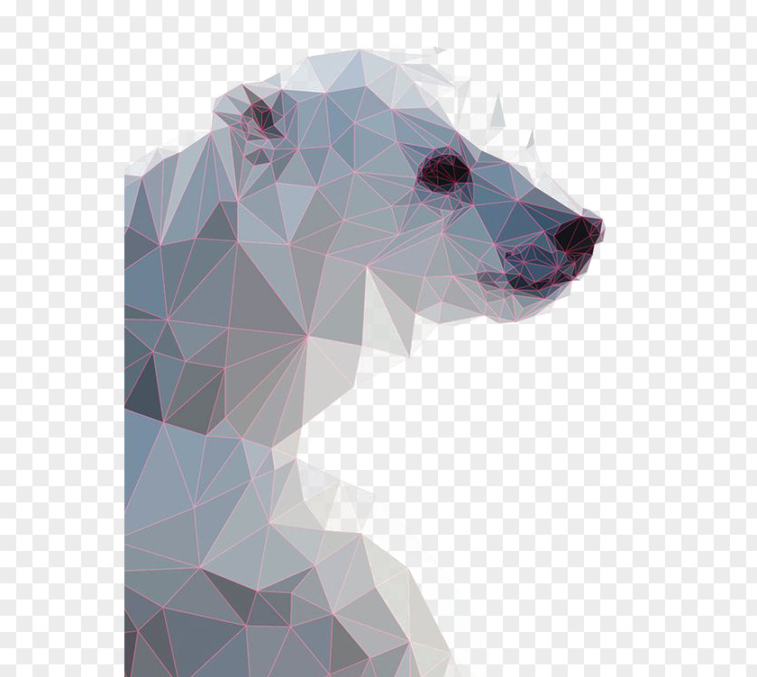 Gradient Polar Bear Illustration PNG