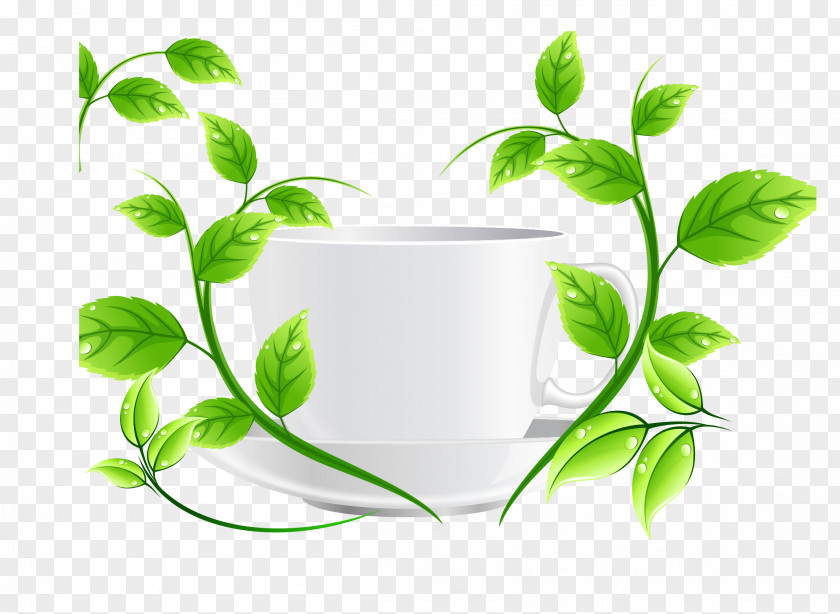 Green Tea Mug Euclidean Vector PNG
