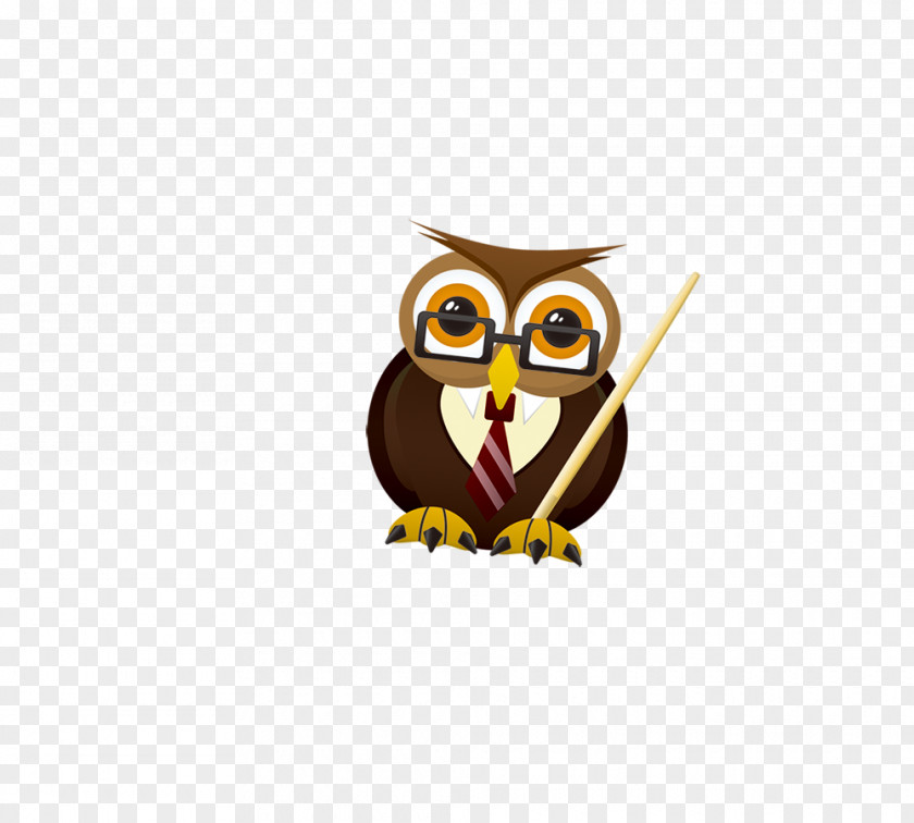 Owl Bird PNG