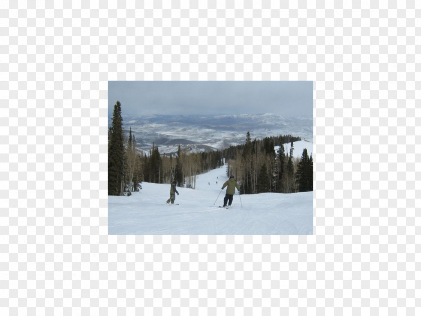 Ski Resort Snow Sporting Goods Tree Sky Plc PNG