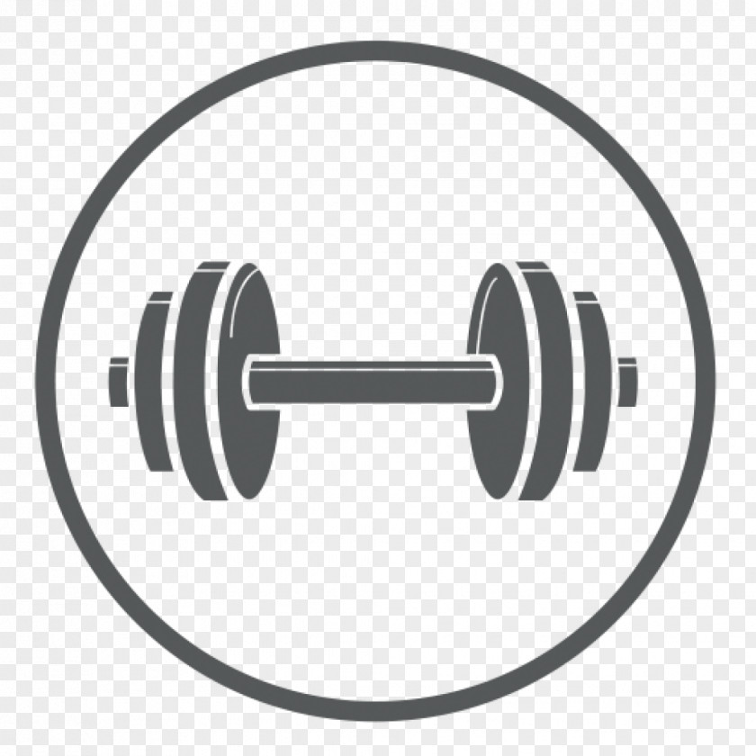 Sports Equipment Weightlifting Fitness Cartoon PNG