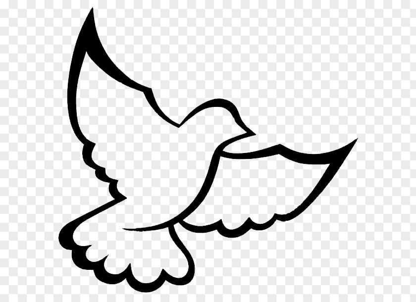 Symbol Doves As Symbols Vector Graphics Clip Art Image PNG