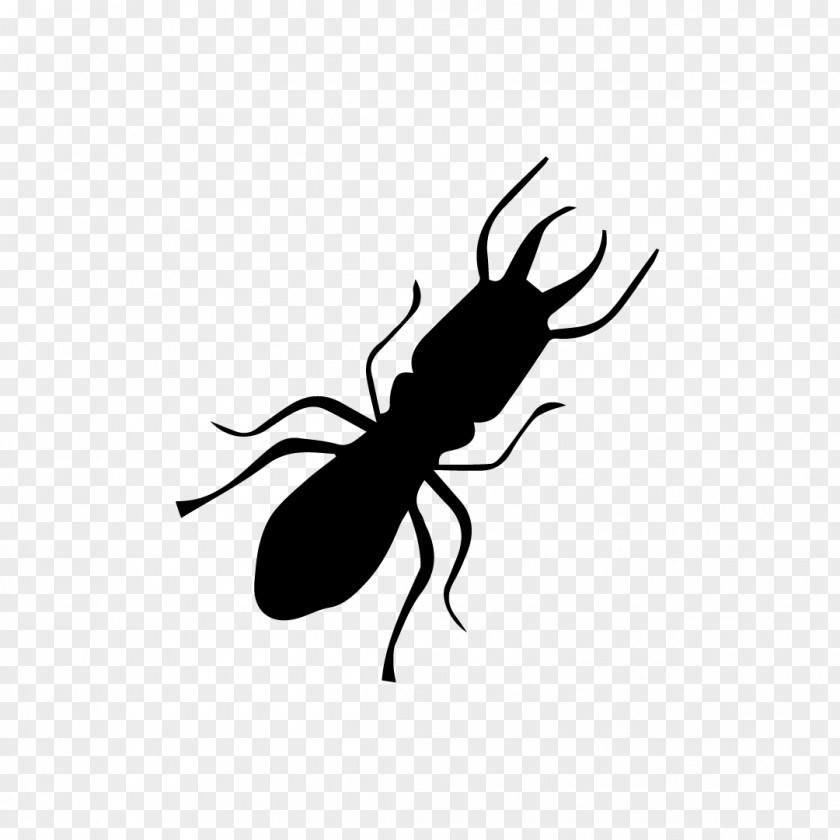 Trim Vector Insect Sentricon Termite Pest Ant PNG