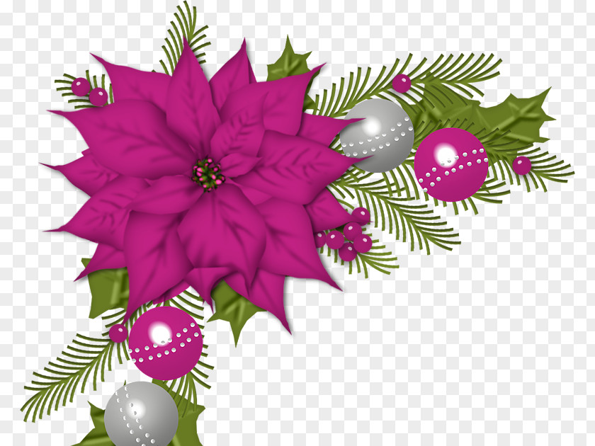 Christmas Decoration Easter Poinsettia PNG