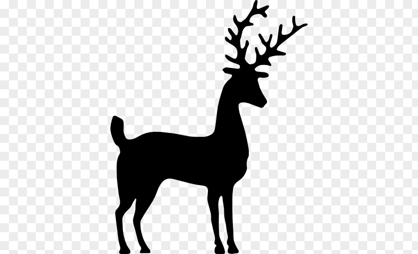 Deer Reindeer Silhouette PNG
