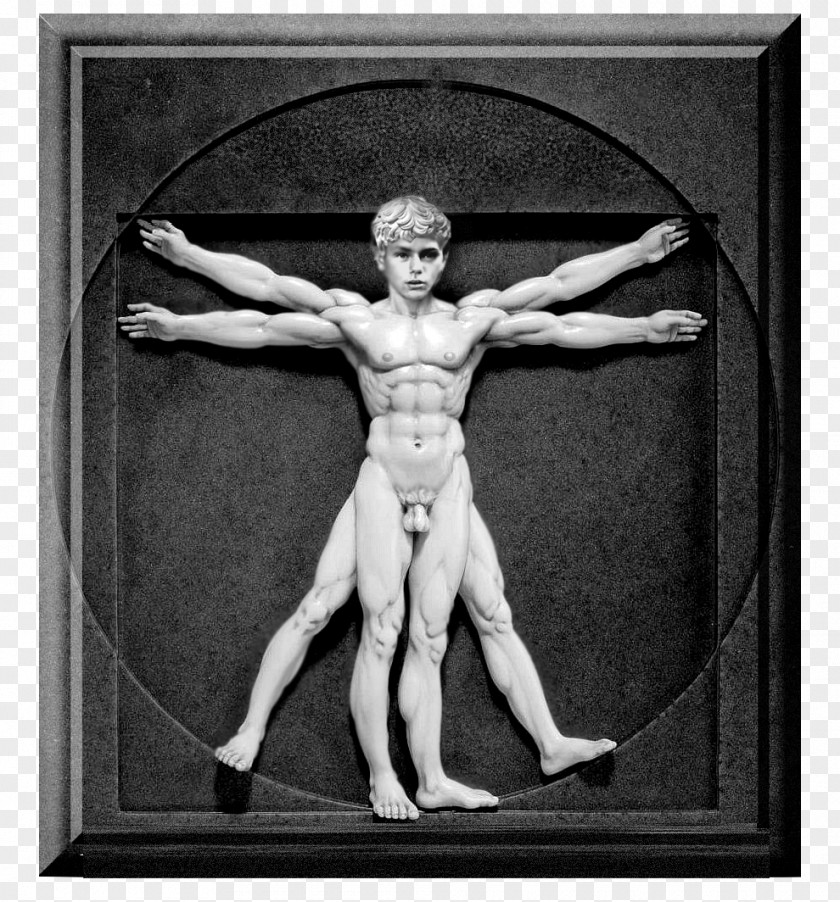 Design Vitruvian Man Renaissance Sculpture Art PNG