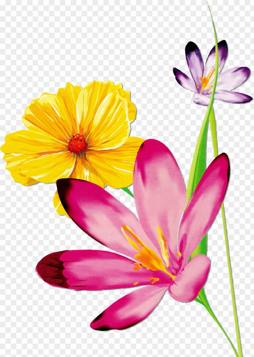 Flower Watercolor: Flowers Watercolor Painting Floral Design PNG