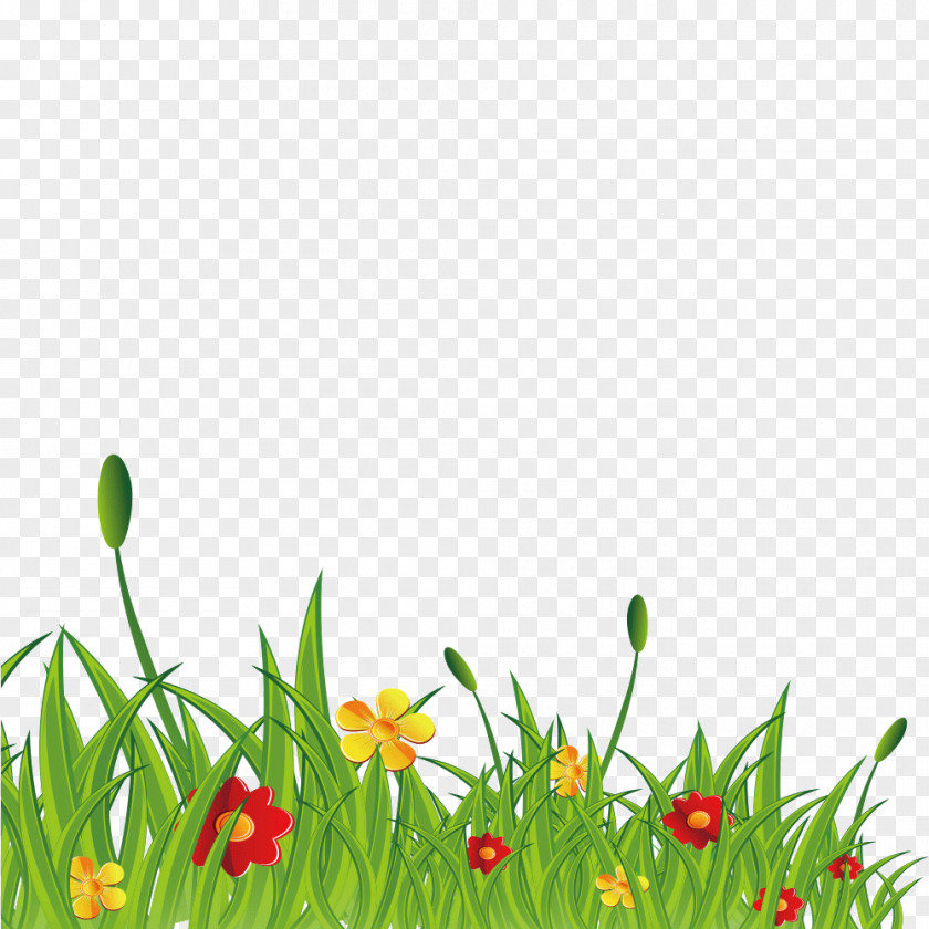 Grass Wildflowers PNG