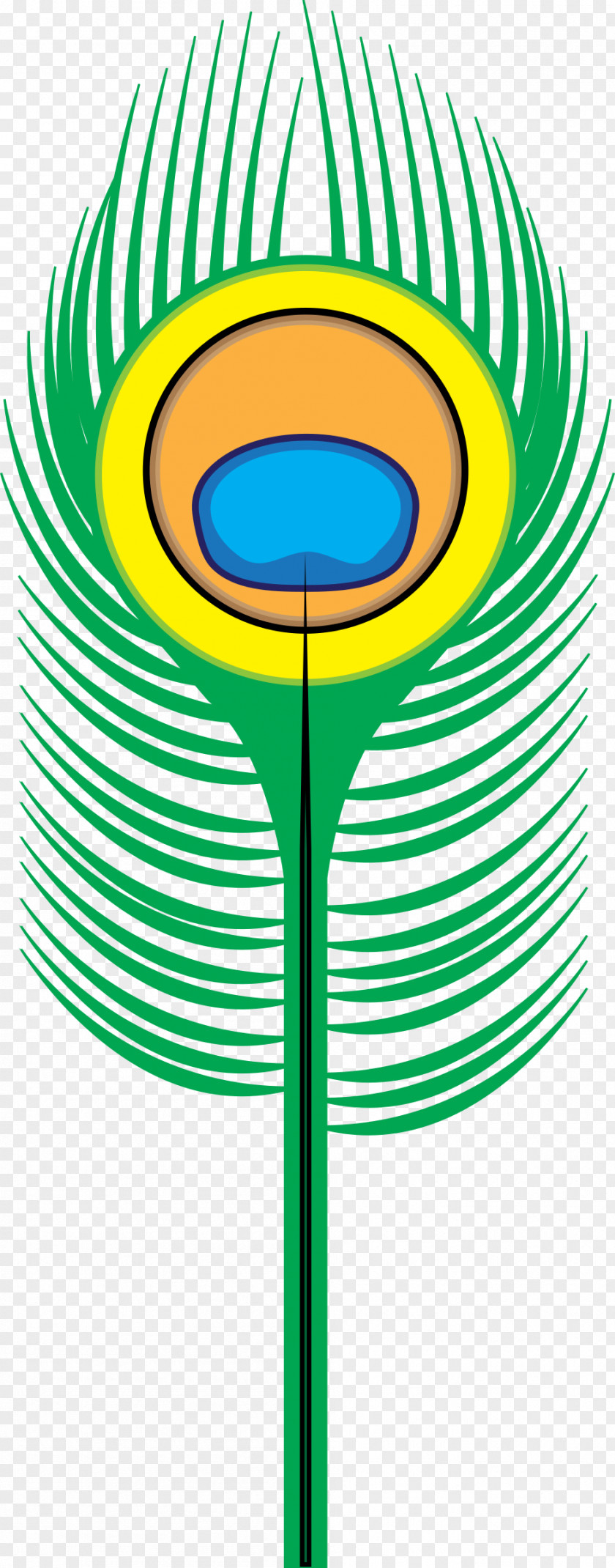Peacock Feather Peafowl Drawing Clip Art PNG