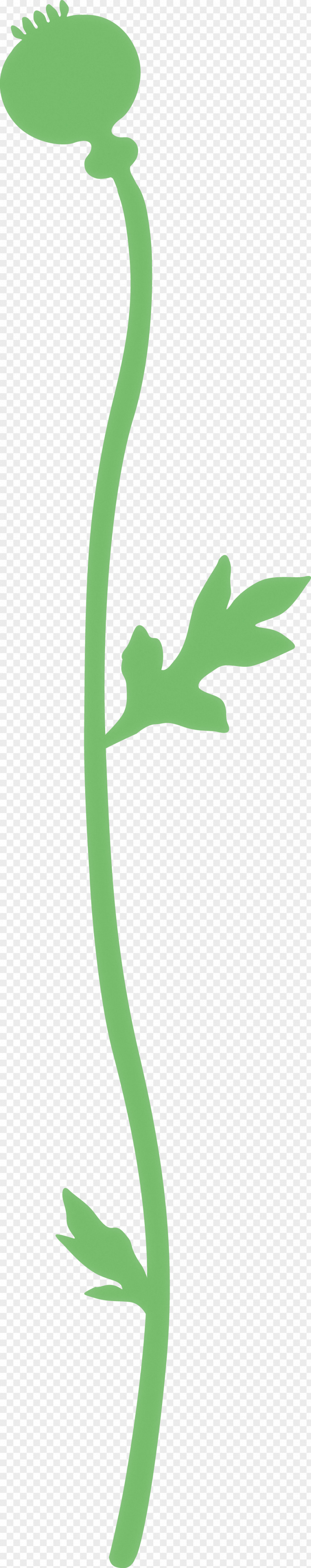 Poppy Flower PNG