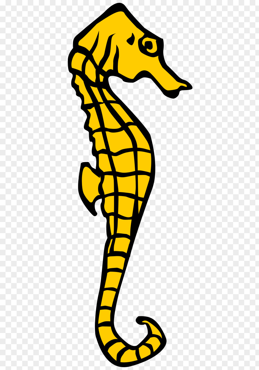 Cartoon Seahorse Pictures Free Content Clip Art PNG