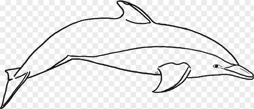 Dolphin Coloring Book Drawing Clip Art PNG