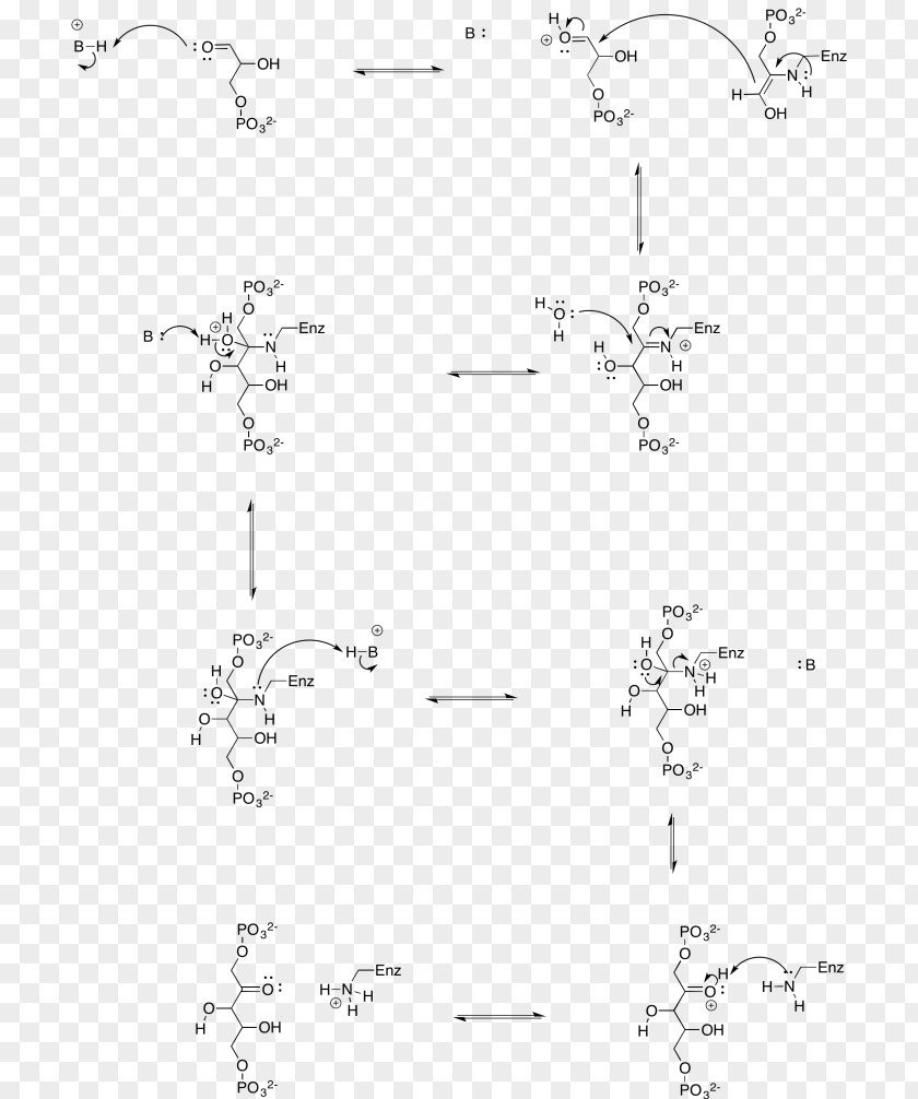 Line Drawing Point Angle /m/02csf PNG