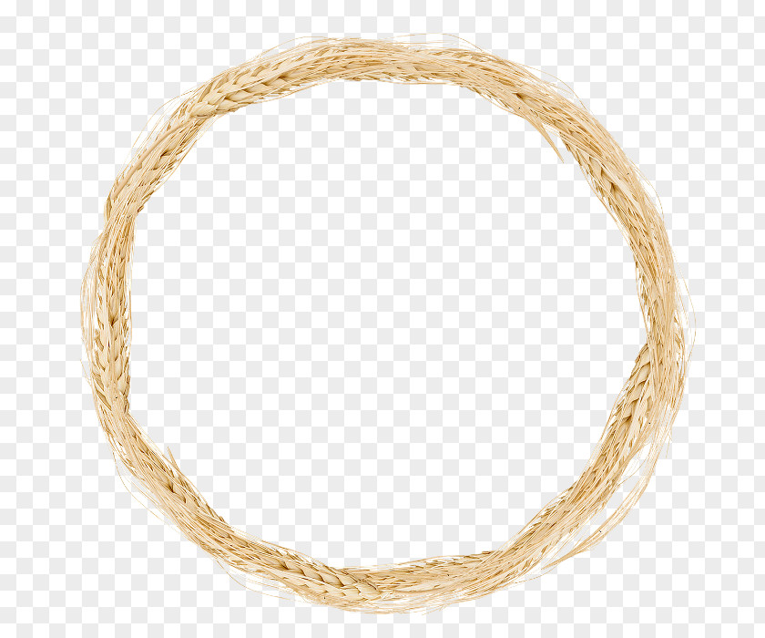 Necklace Colored Gold Carat Ring PNG