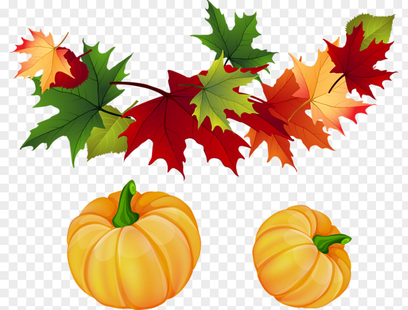 Pumpkin Autumn Leaf Color Clip Art PNG