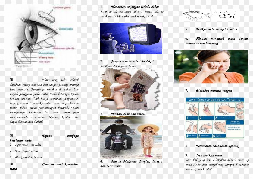 Resume Leaflet Advertising Brochure PNG
