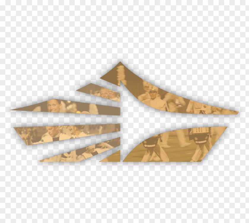 Angle Triangle Wood PNG