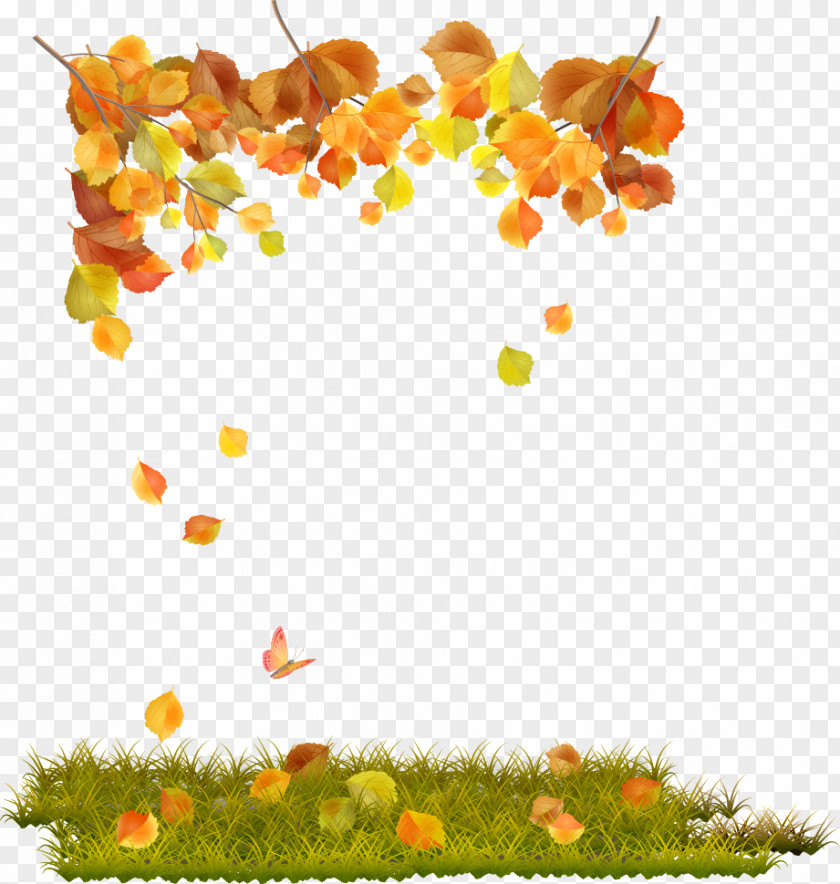 Autumn Vector Elements Leaf Computer File PNG