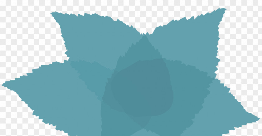 Blue Leaves Turquoise Teal Louse PNG