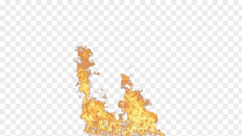 Fire Image Light Flame Combustion PNG