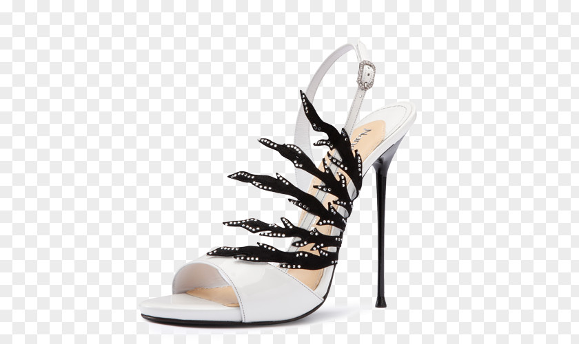 Medinilla Magnifica Shoe Sandal Blog Product Design PNG