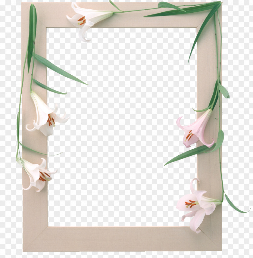 Mirror Flower Lilium Clip Art PNG