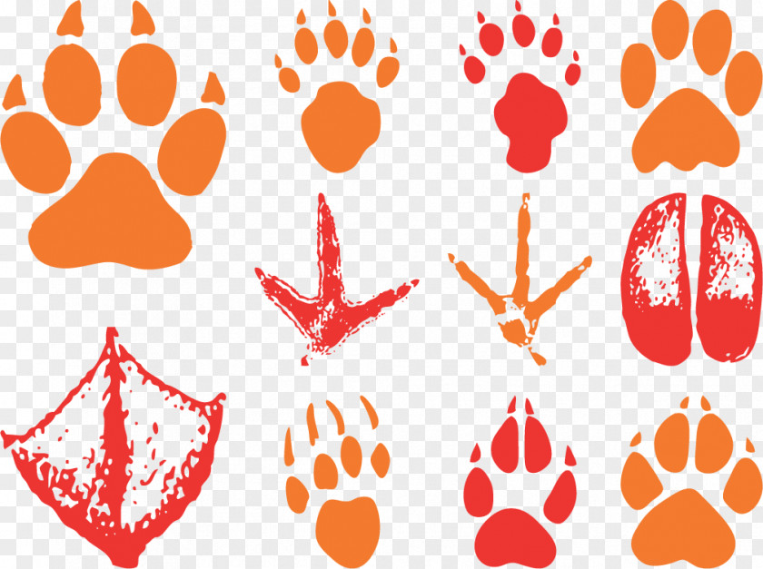 Vector Animal Footprints Track Footprint Bear Clip Art PNG