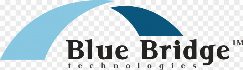 Blue Technology Bridge Technologies SIA Business Information PNG