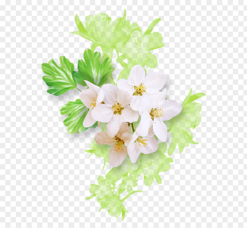 Flower Floral Design Drawing White Green PNG
