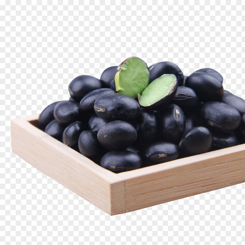 Green Core Black Beans Organic Food Turtle Bean Refried PNG