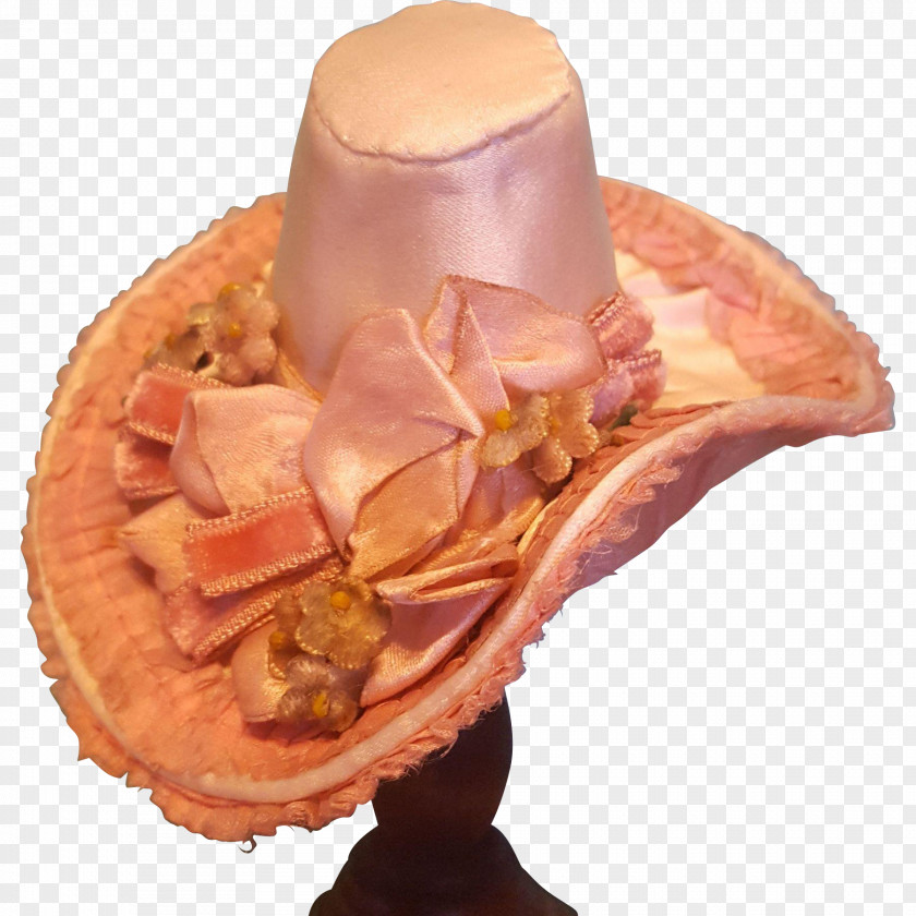 Hat Animal Source Foods PNG