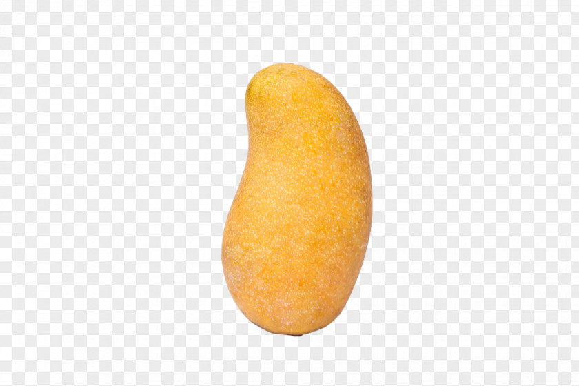 Mango Orange PNG