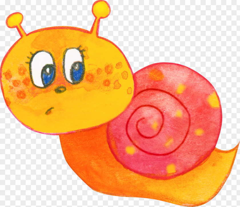 Snail Drawing Clip Art PNG