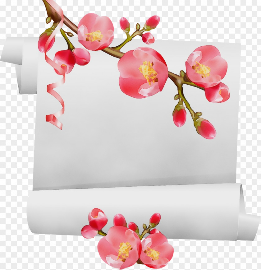 Cherry Blossom PNG