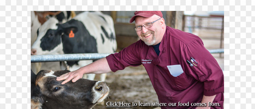 Farm Fresh Cattle Dairy Products PNG