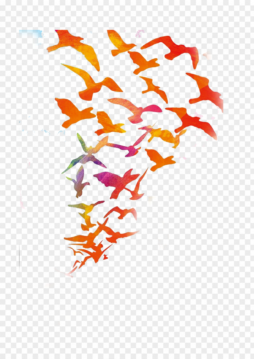 Group Of Geese Fly South Bird Color Feather PNG