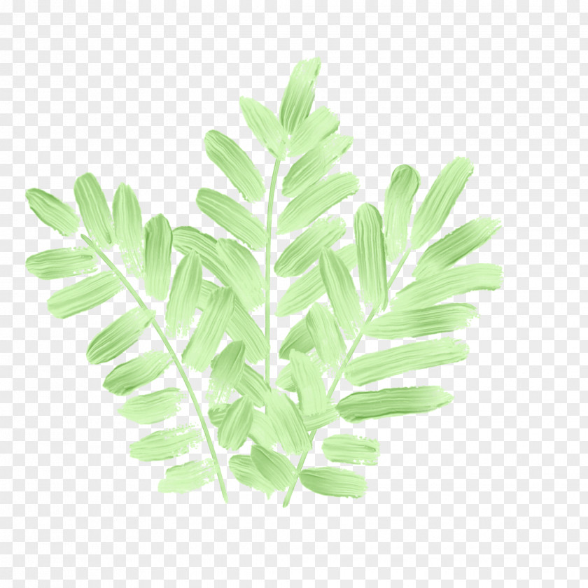 Leaf Aquarium Plant Stem PNG