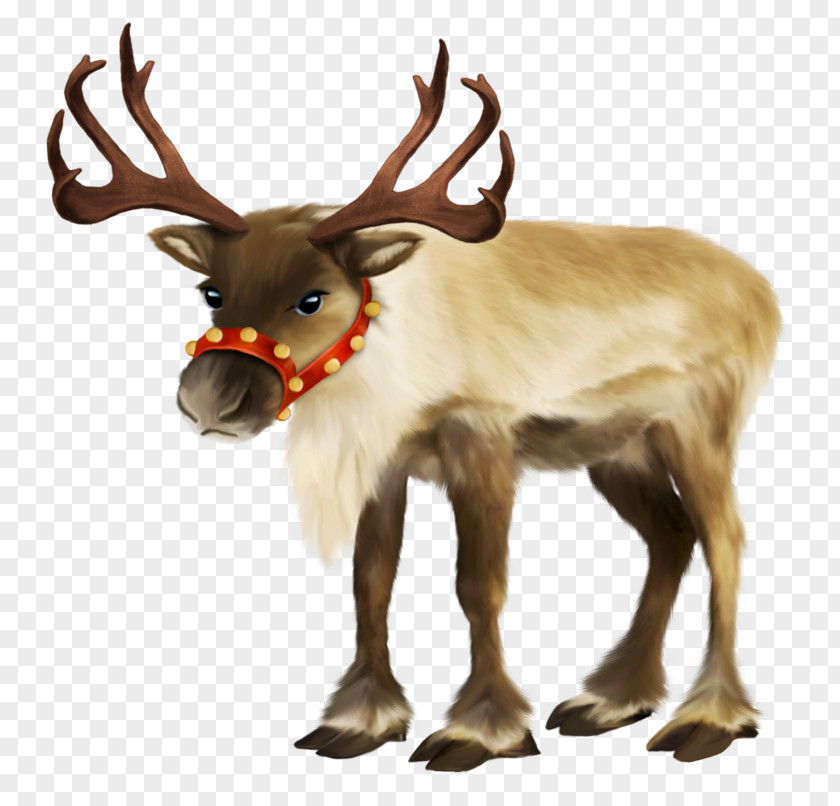 Reindeer Clip Art Psd PNG