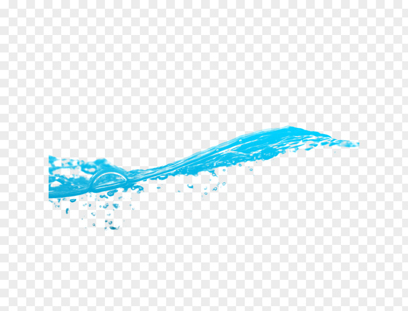 Water Seawater Wind Wave PNG