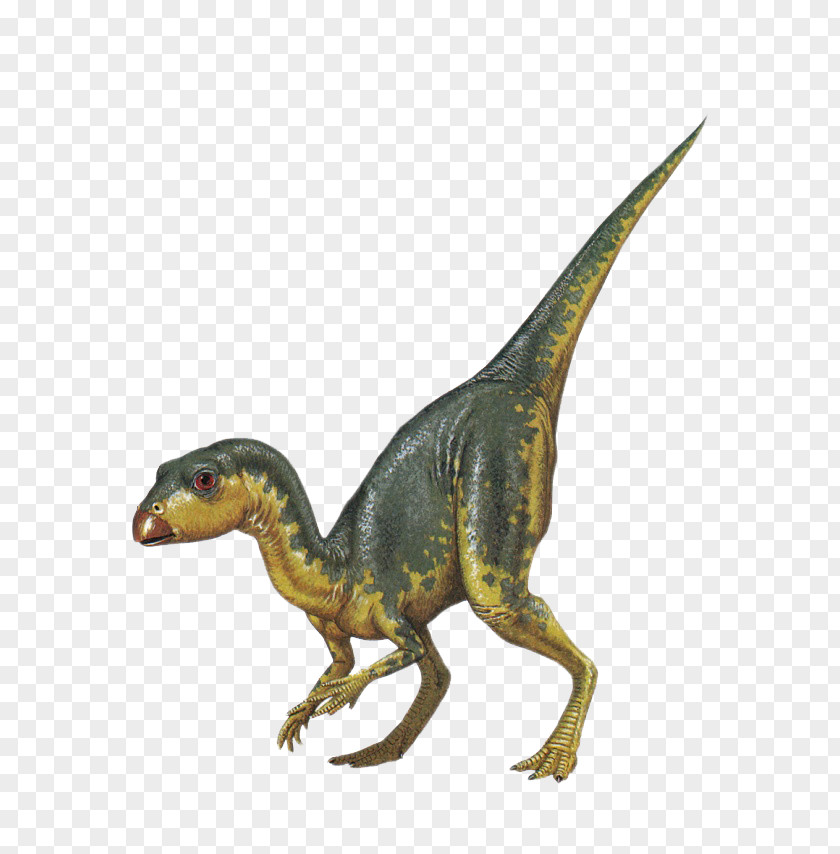 Age Of Dinosaurs Tyrannosaurus Dinosaur Raster Graphics Clip Art PNG