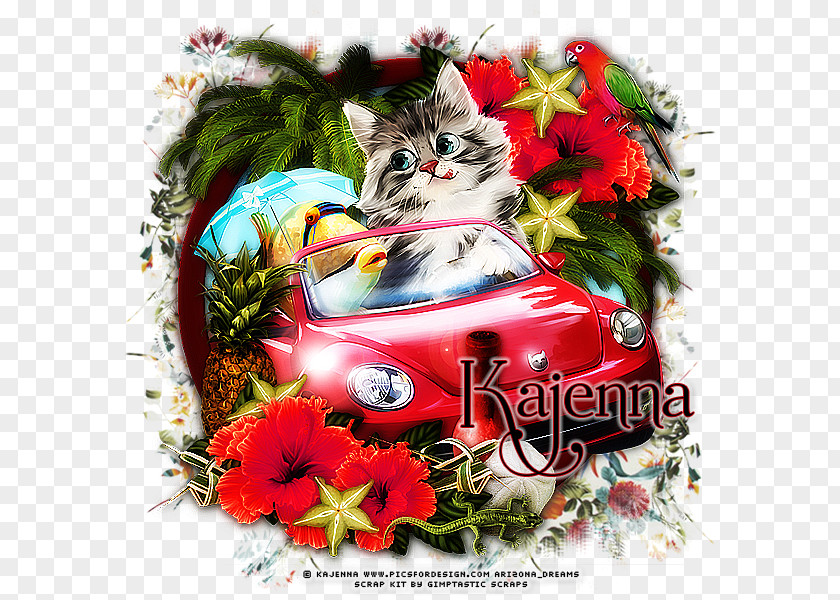 Cat Christmas Ornament Cushion Couch Bed PNG