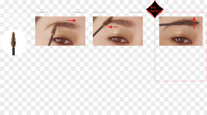 Eye Eyelash Extensions Shadow Liner Eyebrow PNG