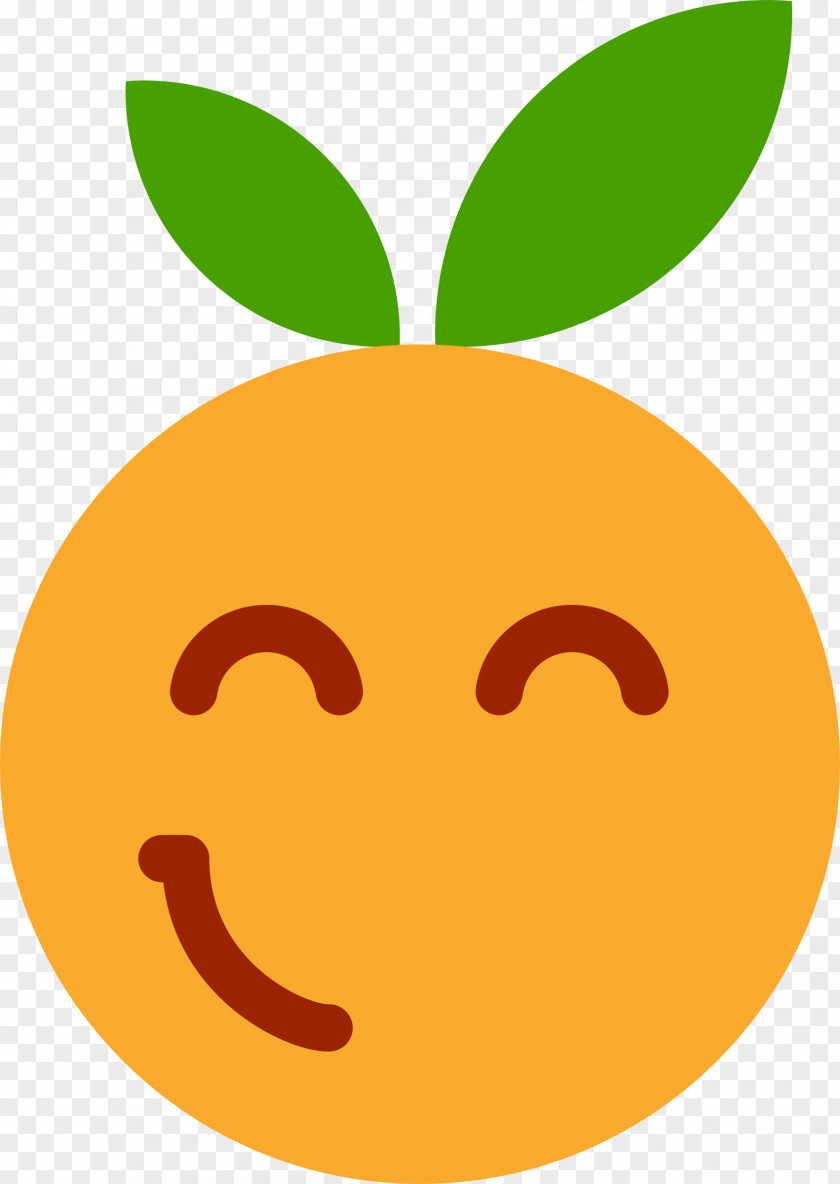 Orange Emoticon Smiley Wink Clip Art PNG