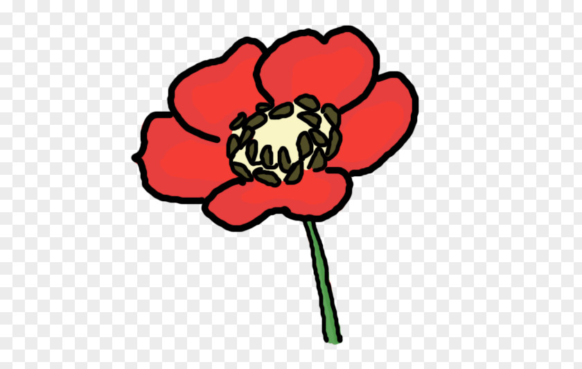 Poppy Cliparts Draw Flowers Remembrance Drawing Clip Art PNG