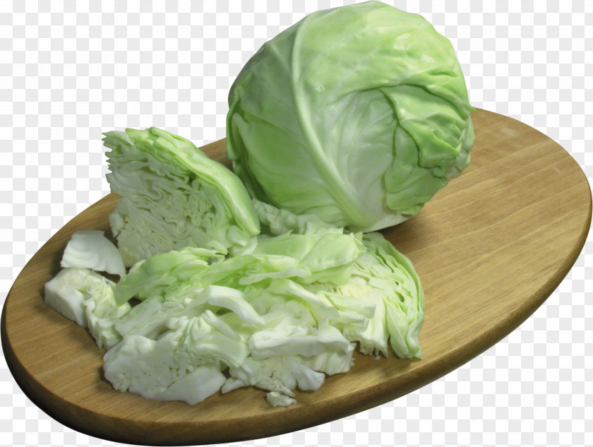 Cabbage Brussels Sprout Roll Capitata Group Vegetable Dish PNG