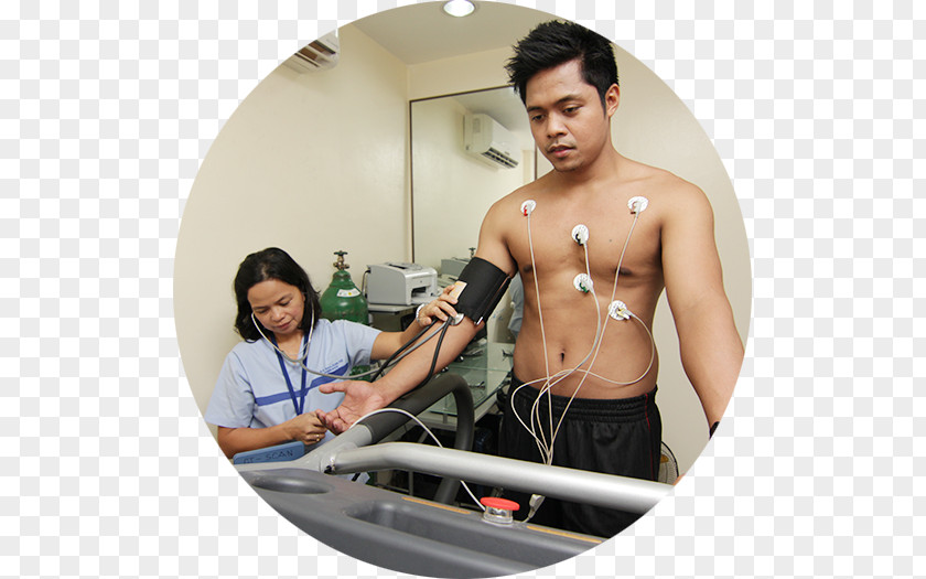 Cardiac Stress Test Therapy Echocardiography Transesophageal Echocardiogram Medicine PNG