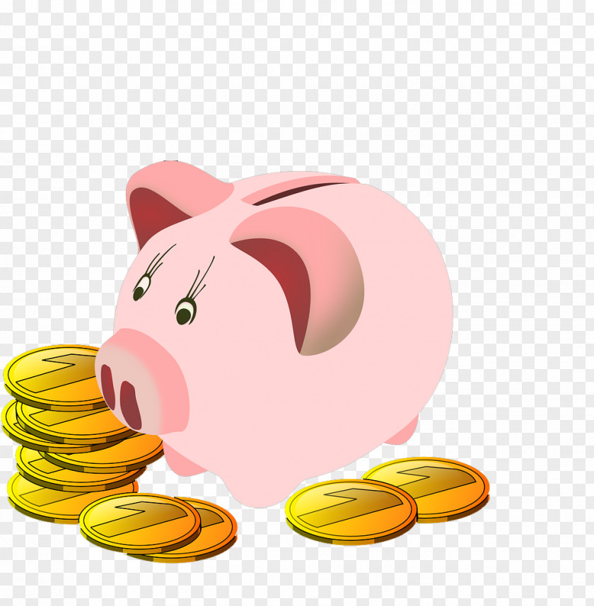 Cute Cartoon Save Piggy Bank Coin Clip Art PNG