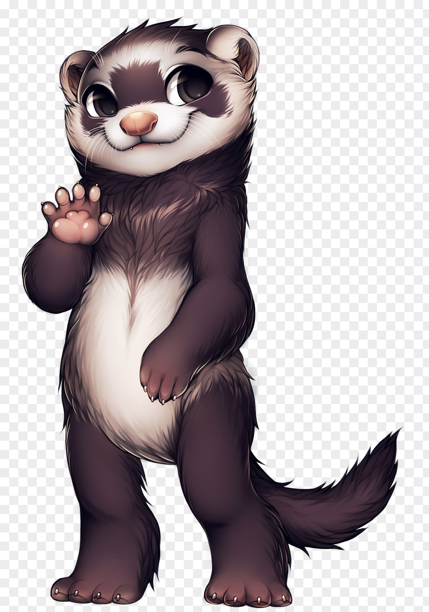 Ferret Otter Lion Leopard Mustelinae PNG